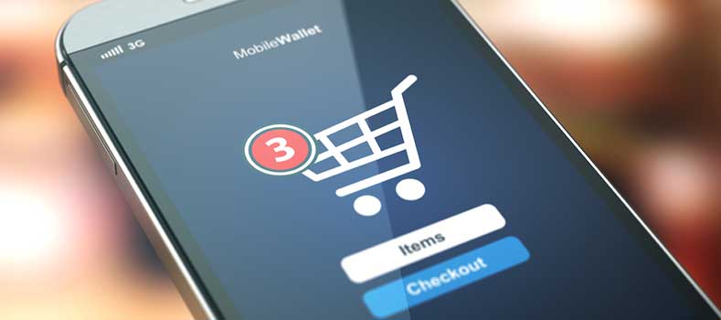 ecommerce website per pmi 1